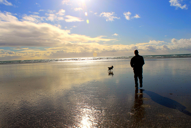 In spiaggia col cane