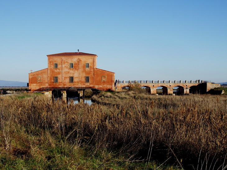 Casa Rossa Ximenes nelle zone paduline di Castiglione della Pescaia. Foto di Matteo Vinattieri