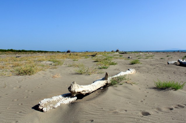 Principina a Mare, spiaggia libera