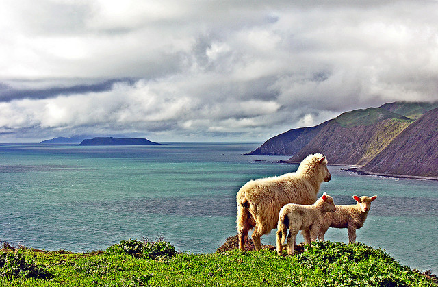 Foto di Phillip Capper