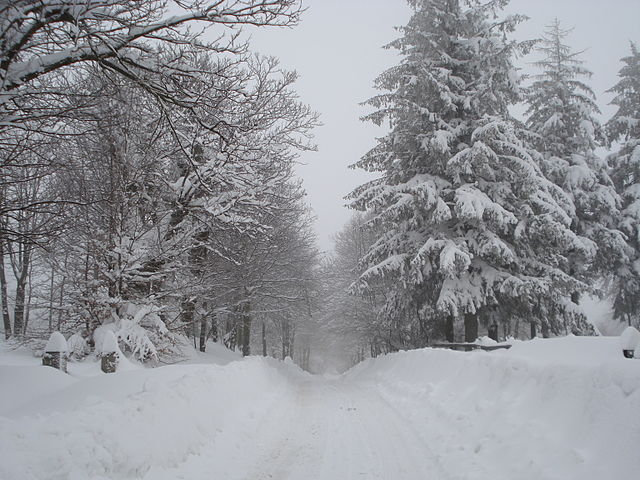 Durante l'inverno la neve cade abbondante nell'entroterra ligure ed è perfetta per lo sci