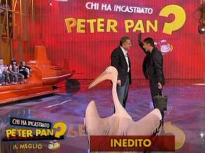 chi ha incastrato peter pan canale 5