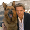 il commissario rex 3 ritorna su rai 1