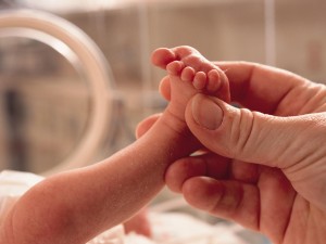 Treviso, il “miracolo” della piccola Vittoria: nata prematura di 399 grammi, ora sta bene