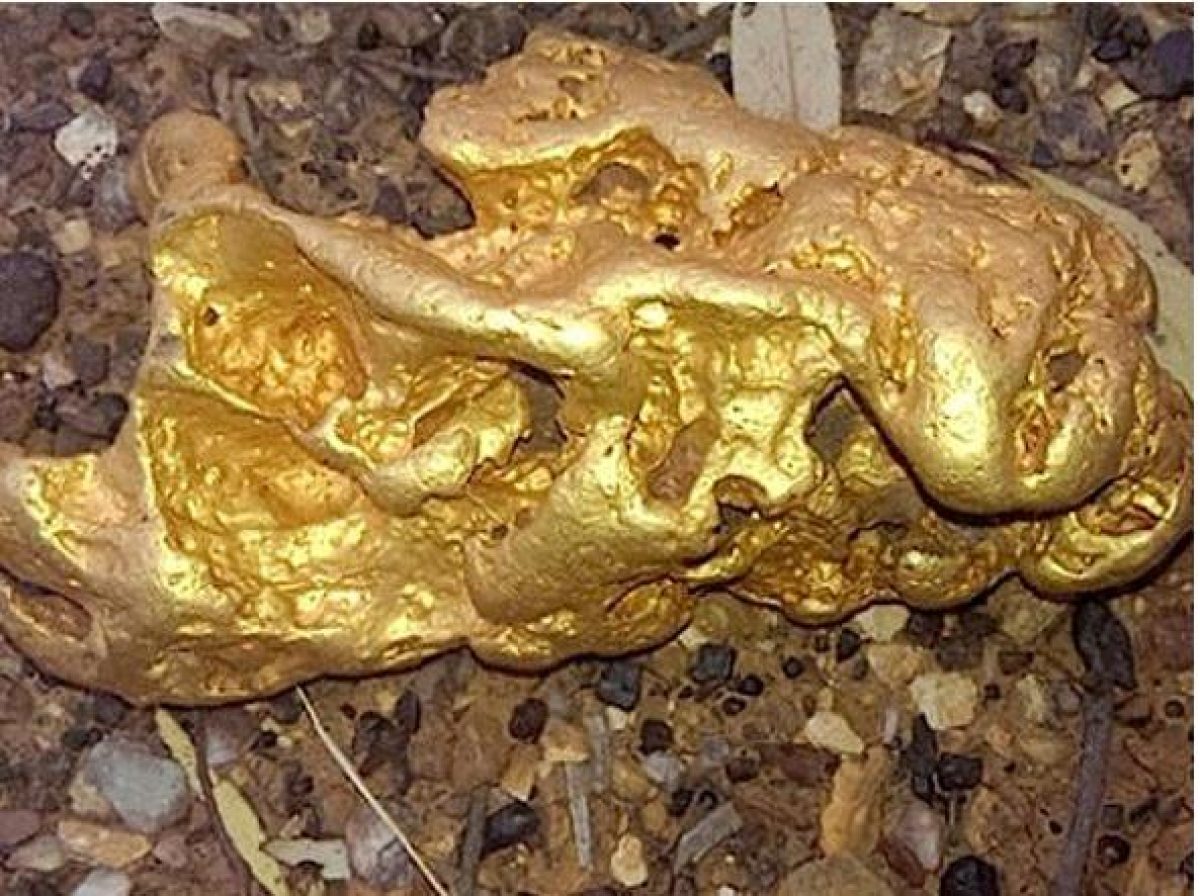 Pepita D Oro Piu Grande Al Mondo