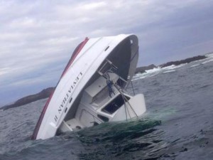 Canada: affonda nave per l'avvistamento delle balene, almeno 5 turisti morti