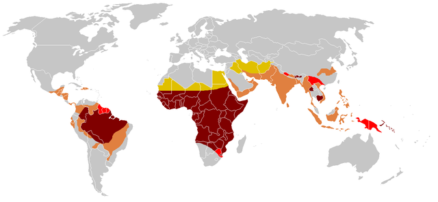 Scala di rischio del paludismo (malaria).