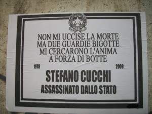 Caso Cucchi, la Cassazione: "L'inerzia dei medici fu ingiustificabile"
