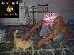 La storia dell'Isis che dichiara guerra anche ai gattini è una bufala