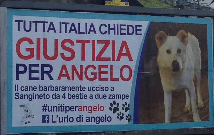 Uno dei manifesta in ricordo del povero Angelo