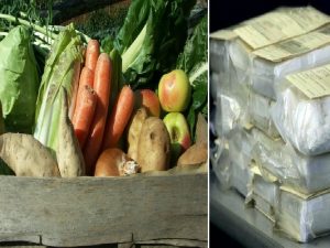 Cocaina dalla Colombia con pesce e frutta. Blitz contro cartello della 'ndrangheta