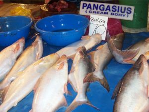 Pesce pangasio "troppo inquinato": ritirato da supermercati e mense scolastiche