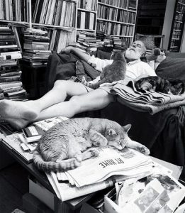 Un ritratto di Hemingway e i suoi gatti