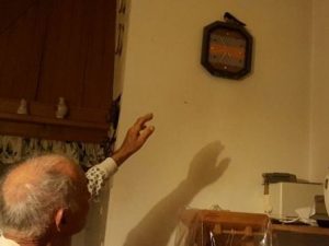 Perse la moglie 3 anni fa: da allora lo va a trovare a casa per tutta la primavera una rondine