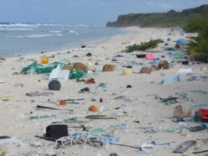 Henderson Island, l'isola più sperduta del mondo: è quella con più alta quantità di plastica
