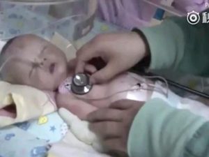 Cina, neonato sepolto vivo dalla madre. Un cane sente l'odore e lo salva