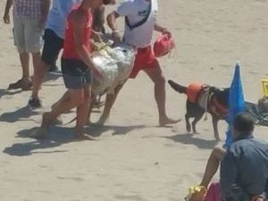 immagine dal gruppo Facebook “Francavilla al Mare“.