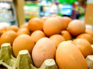 Uova, anche in Italia trovati campioni contaminati dal Fipronil