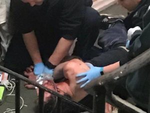 Cane ingerisce cocaina del padrone: lo azzanna e uccide mentre sta girando un film sulla droga