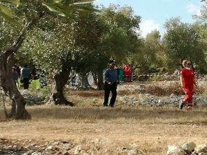 Lecce, la 16enne Noemi ritrovata morta sotto i sassi, il cugino: "Lui la picchiava"