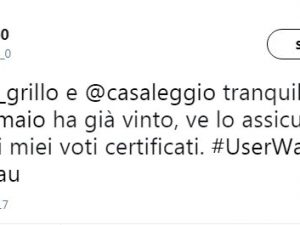 L’hacker “Rogue_0” annuncia di aver violato Rousseau: “Ho votato decine di volte”