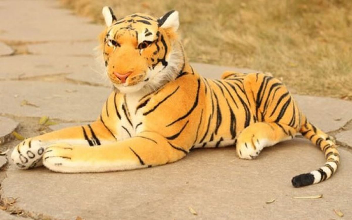Come Si Chiama La Tigre Di Jasmine