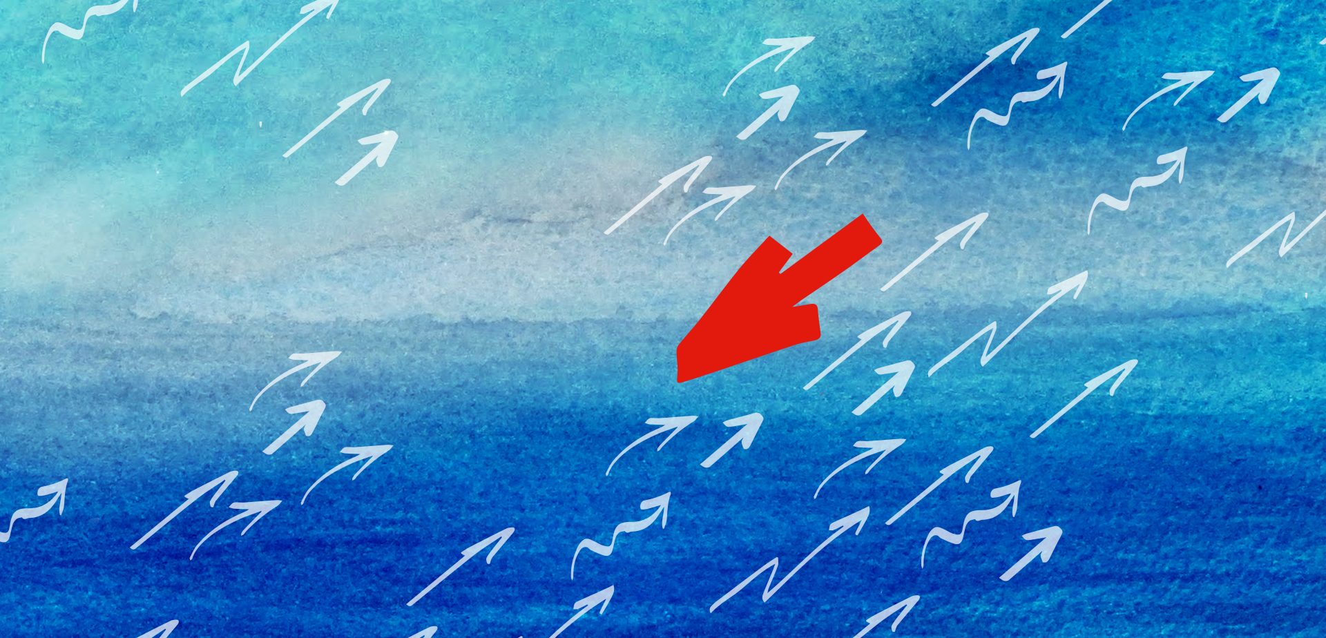 Controcorrente Fanpage