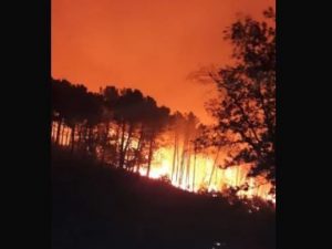 Pisa, incendio sul Monte Serra, 500 evacuati. I pompieri: “Abbiamo rischiato di perdere due squadre”