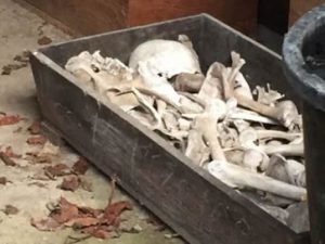 Immagine di repertorio