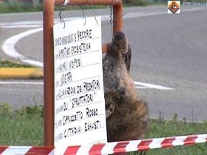 foto di repertorio