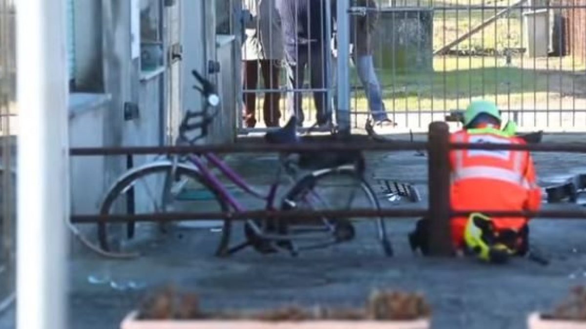 Ferrara, torna a casa dal supermercato: Donatella travolta e uccisa in  sella alla sua bici