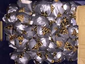 Filippine : 1.500 tartarughe protette legate con lo schotch trovate in quattro valigie