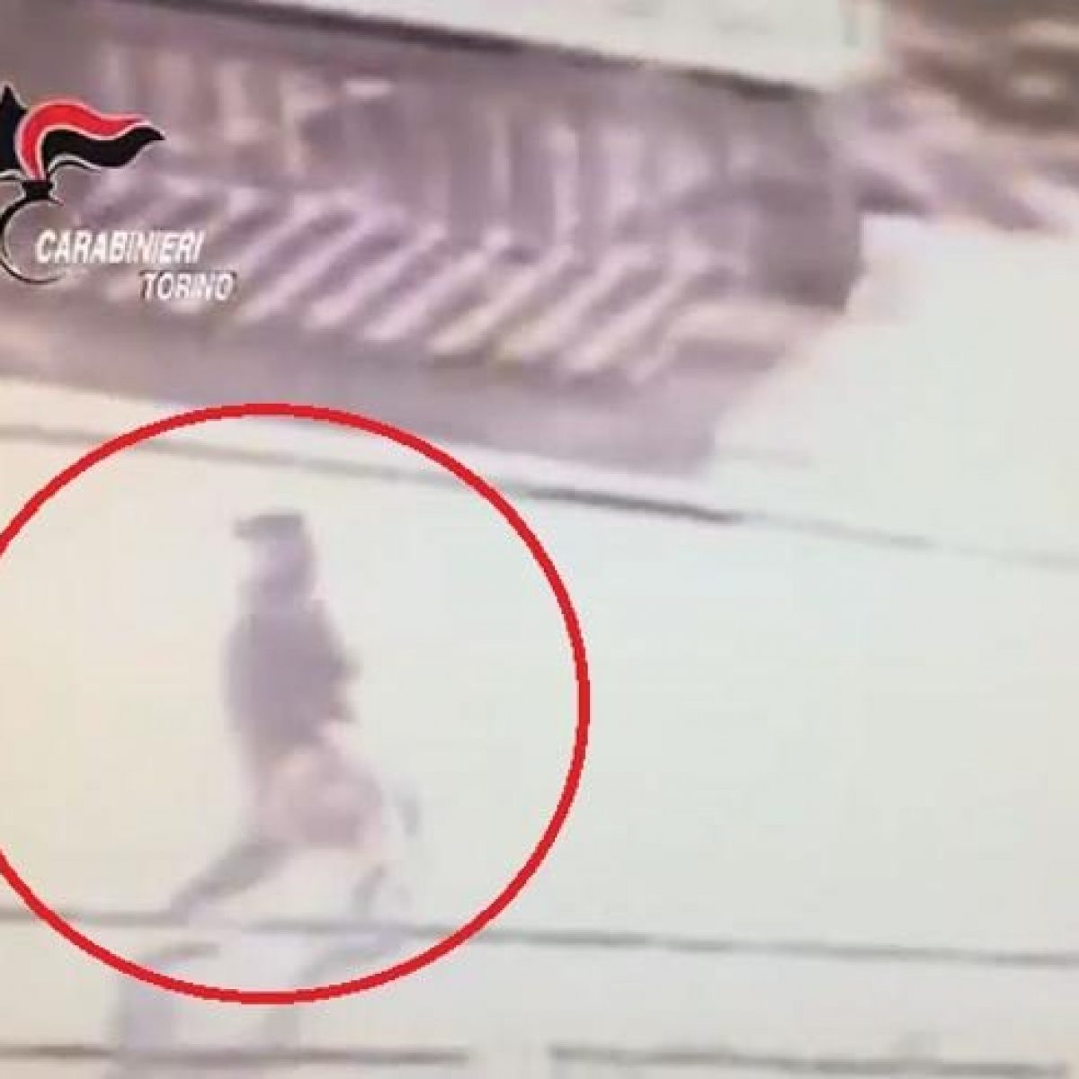 scaricare video ragazzo down picchiato torino