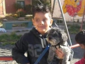 Il cane si perde, bimbo autistico offre la sua bici come ricompensa: “Tito mi manca”