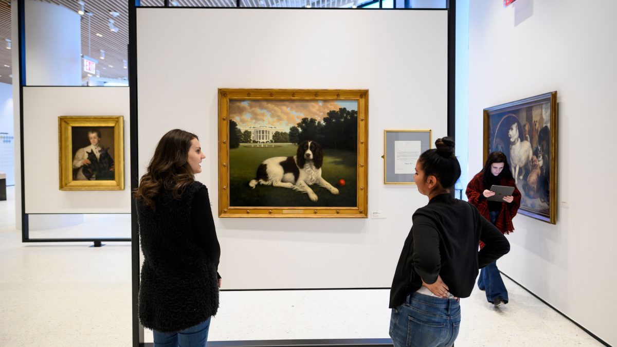 muzing_app_tinder_musei