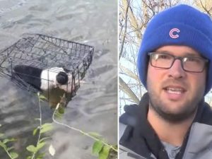 Chiusa in gabbia e gettata nel lago ghiacciato, insegnante si tuffa e salva la cagnolina