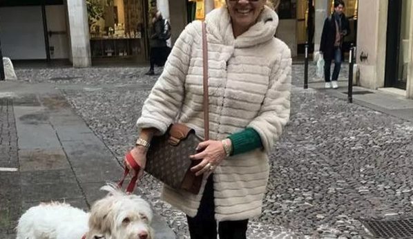 I Cani Possono Entrare In Farmacia