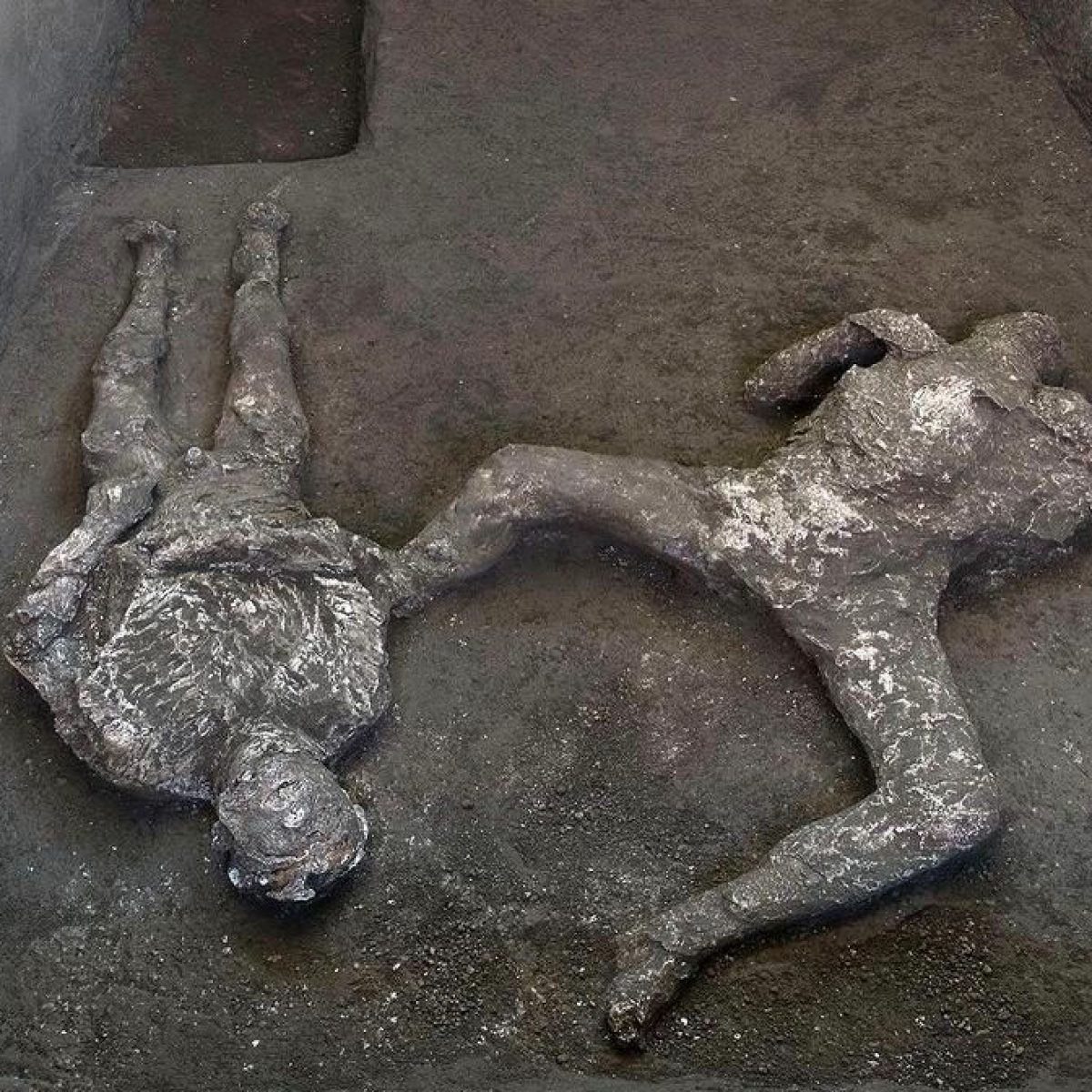 Perché la scoperta dei corpi a Pompei è una grande notizia per gli archeologi del futuro
