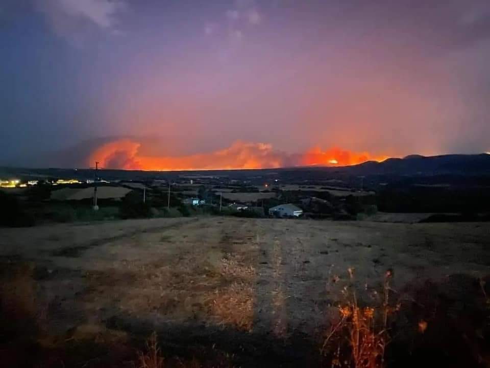 Incendio Sardegna, notte di fuoco a Oristano: circa 400 evacuati e strade chiuse, Canadair in azione - Vimarsana News