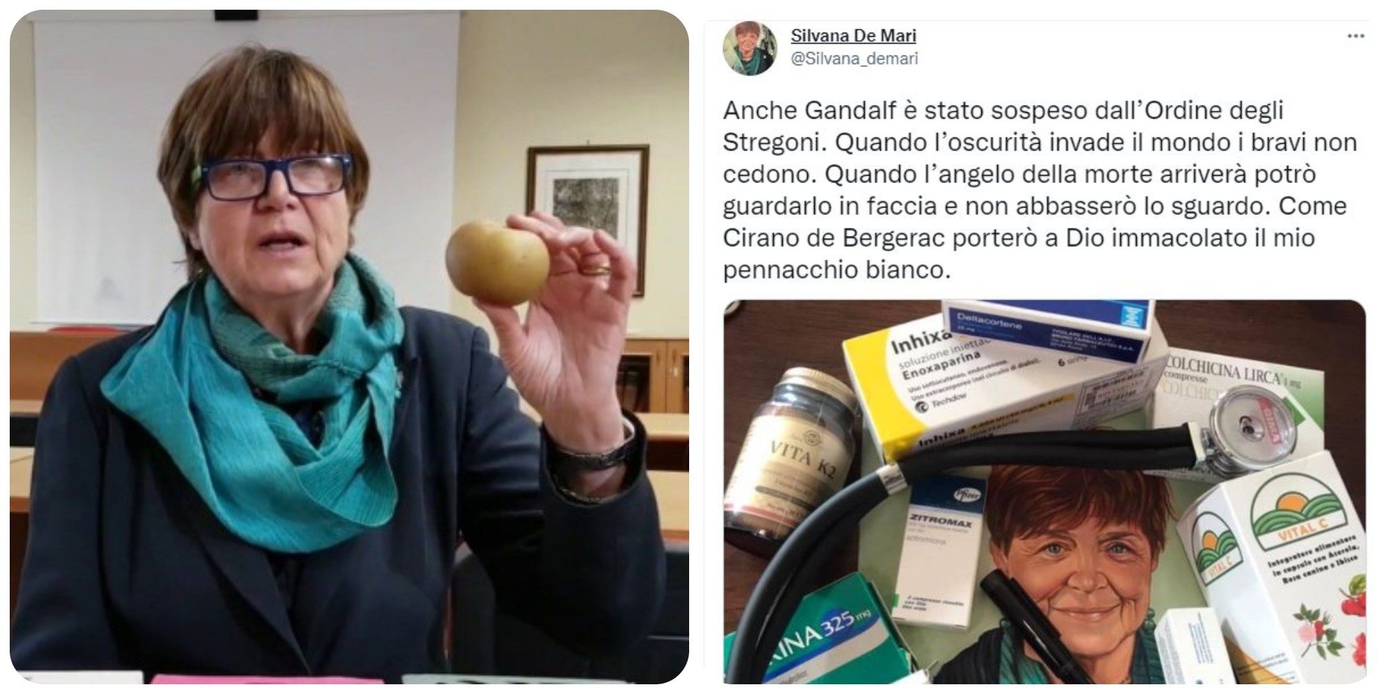 La no vax Silvana De Mari: Anche Gandalf è stato sospeso dall'Ordine degli Stregoni - Vimarsana News