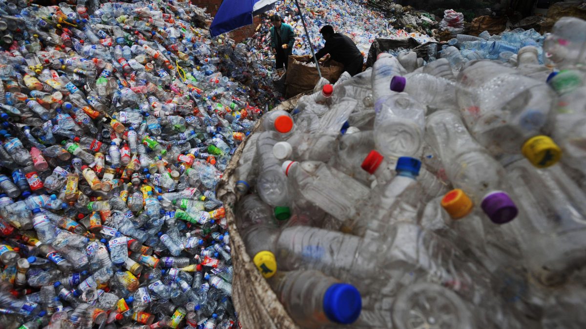 Photo by China Photos/Getty Images