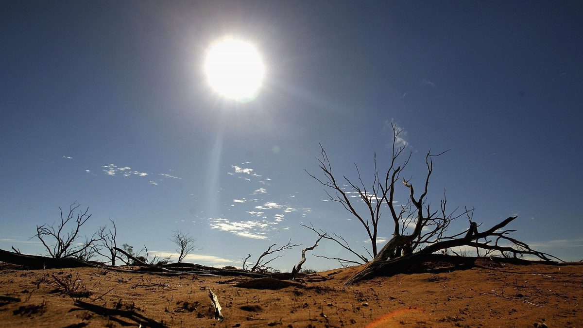 (foto Ian Waldie/Getty Images)