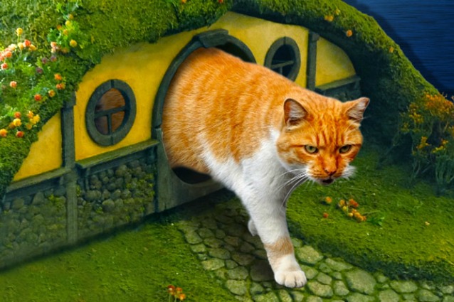 Il Signore degli Anelli per animali domestici: accessori solo per gatti colti