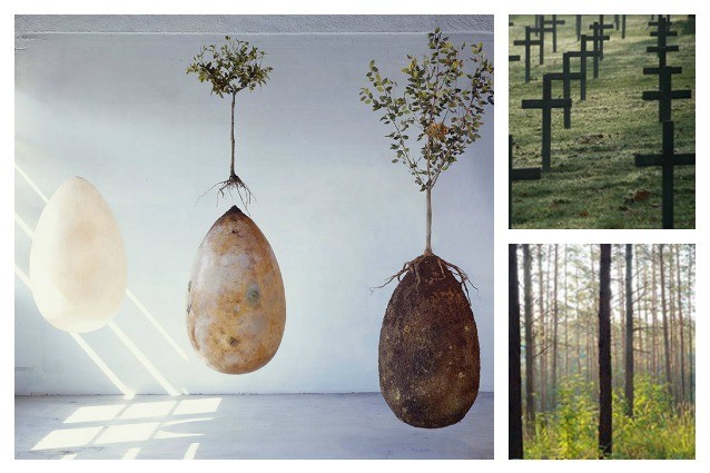 Capsula Mundi: la prima sepoltura che trasformerà i vostri cari in alberi