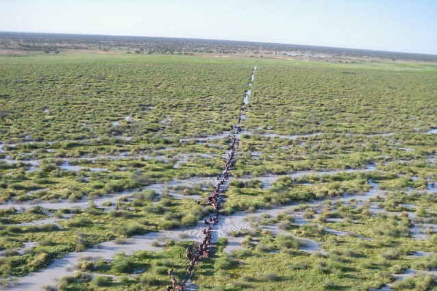 Australia: vendesi la proprietà privata più grande del mondo