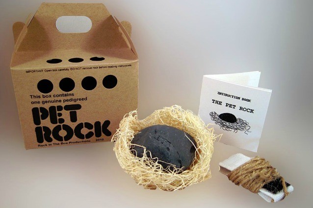 Pet Rock: ecco l'invenzione che ha reso milionario Gary Ross Dahl