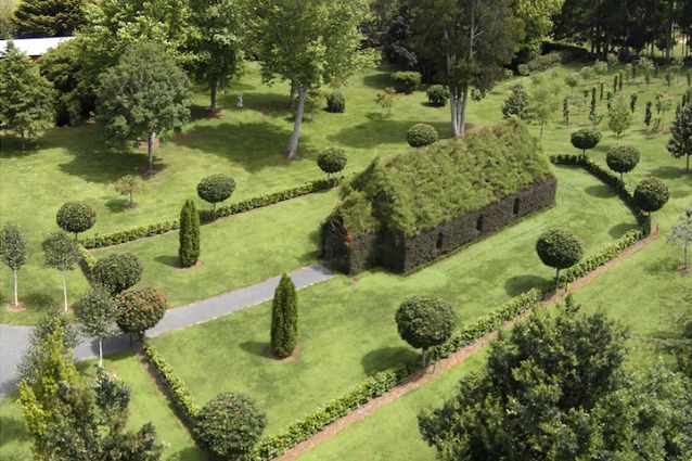 Tree Church: la prima chiesa al mondo fatta solo di alberi