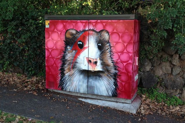 Auckland: ecco come le cabine elettriche diventano opere di street art