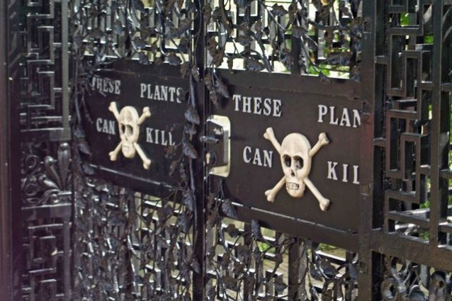 Alnwick Garden: benvenuti nel giardino più velenoso del mondo
