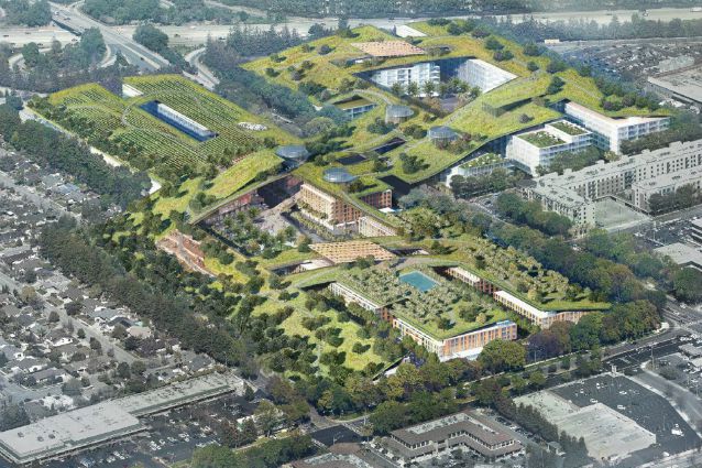 Silicon Valley: sarà qui il tetto verde più grande del mondo